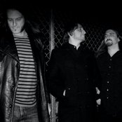 Sasquatch - List pictures