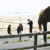 Kooks - List pictures