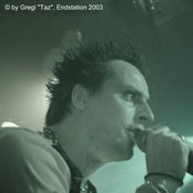 Evereve - List pictures