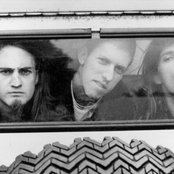 Geggy Tah - List pictures