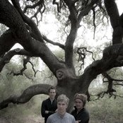 Nada Surf - List pictures