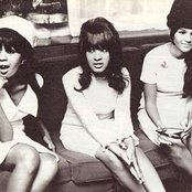 The Ronettes - List pictures