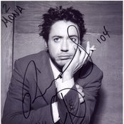 Robert Downey Jr. - List pictures