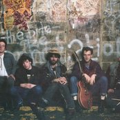 Scruffy The Cat - List pictures