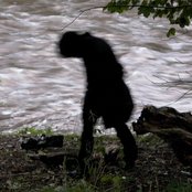 Lethe - List pictures