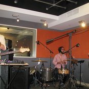 Yellow Ostrich - List pictures