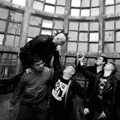 Vox Populi - List pictures