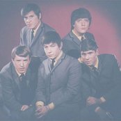 The Animals - List pictures