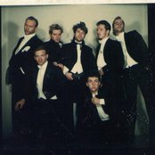 The Members - List pictures