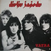 Divlje Jagode - List pictures