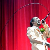 Mike Patton - List pictures