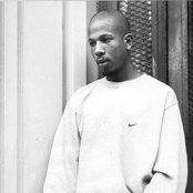 Shyne - List pictures