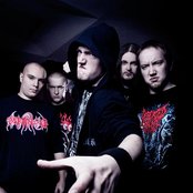Ingested - List pictures