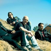 Stiftelsen - List pictures