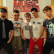 Rotten Bark - List pictures