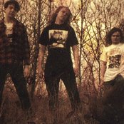 Dead Infection - List pictures