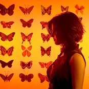 Labuat - List pictures