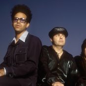 Wondermints - List pictures