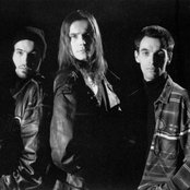 Wiki - List pictures