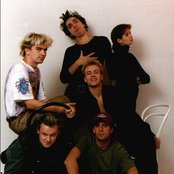 Êîðîëü È Øóò - List pictures