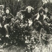 Van Der Graaf Generator - List pictures