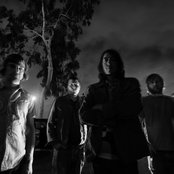 Polvo - List pictures