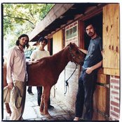 Liars - List pictures