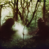Wolves In The Throne Room - List pictures