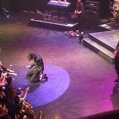 Gowan - List pictures