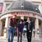 Wombats - List pictures