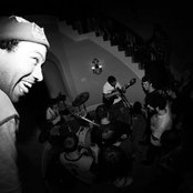 Laika - List pictures