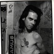 Nick Cave - List pictures