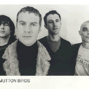 Mutton Birds - List pictures