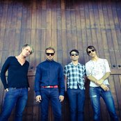 Space Hog - List pictures