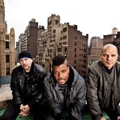 Screaming Headless Torsos - List pictures