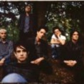 Strangelove - List pictures