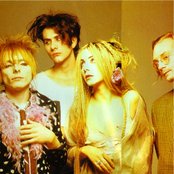 Daisy Chainsaw - List pictures