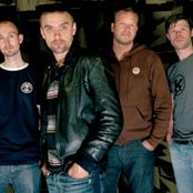 Nephew - List pictures