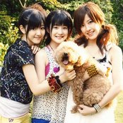 Buono! - List pictures