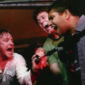 Wrens - List pictures