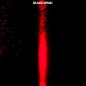 Black Swan - List pictures