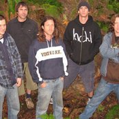 Grim Skunk - List pictures