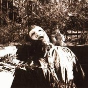 Death In June - List pictures