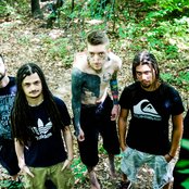 Omega Diatribe - List pictures