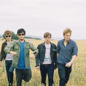 Woods - List pictures