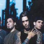 Stereomud - List pictures