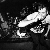 Night Birds - List pictures