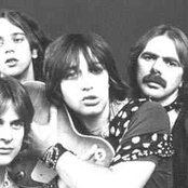 Divlje Jagode - List pictures