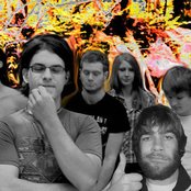 Annuals - List pictures