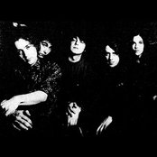 The Telescopes - List pictures